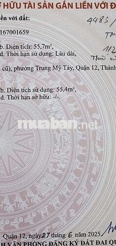 Bán Đất 5x11 Trung Mỹ Tây 13, Phường Trung Mỹ Tây, Q12