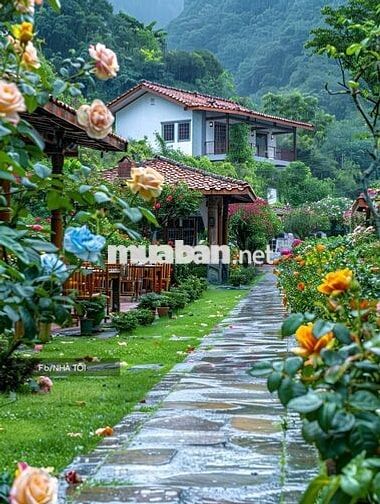CHO THUÊ NHÀ NGUYỄN VĂN SĂNG - P Tân Sơn Nhì 4 x 17 M đúc 1 lầu : 