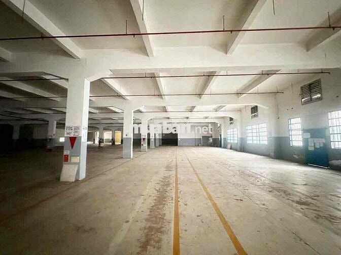 Cho thuê kho xưởng tiêu chuẩn, pccc tự động, đường xe cont giá tốt