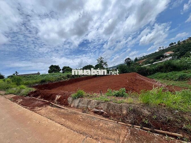 Bán lô đất 800m2 cách đường DT725 200m