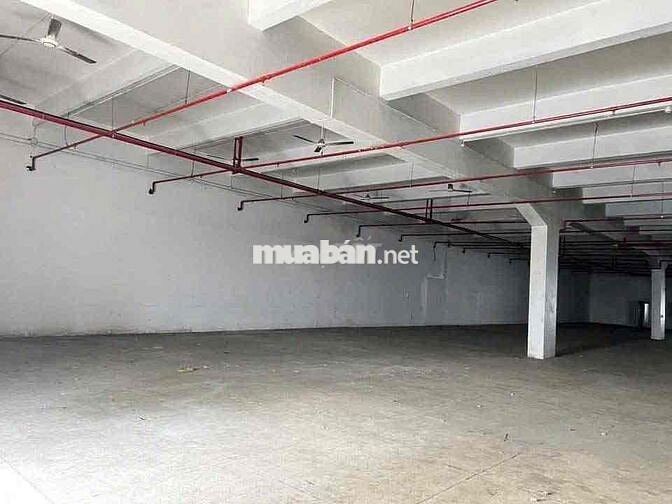 Cho thuê kho xưởng tiêu chuẩn, pccc tự động, đường xe cont giá tốt