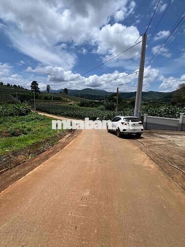 Bán lô đất 800m2 cách đường DT725 200m