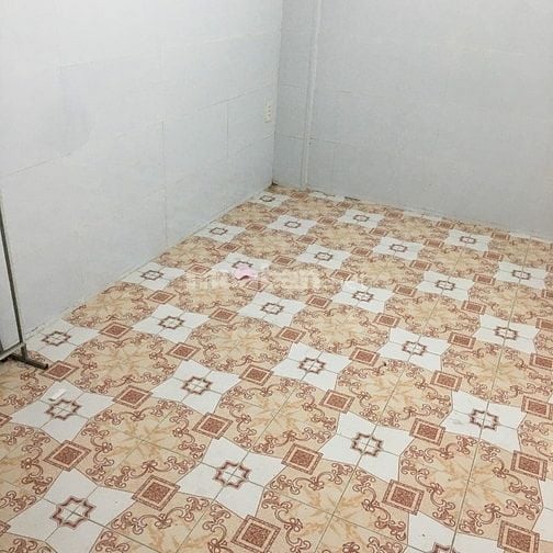 Nhà cho thuê phường Bình Lợi Trung, TP.HCM