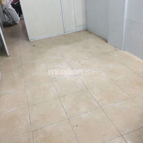 Nhà cho thuê phường Bình Lợi Trung, TP.HCM