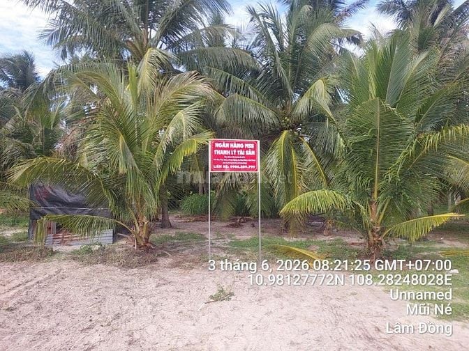 Công ty đấu giá hợp danh Sao Việt 