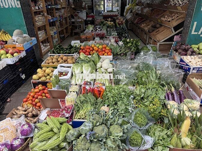 [LÀM NGAY] TUYỂN NỮ BÁN RAU ĐÀ LẠT TẠI PHÚ NHUẬN