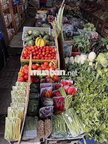 [LÀM NGAY] TUYỂN NỮ BÁN RAU ĐÀ LẠT TẠI PHÚ NHUẬN