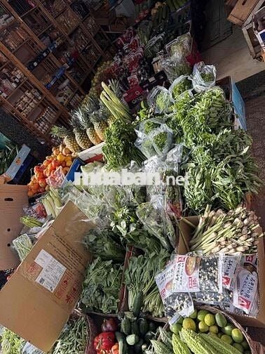 [LÀM NGAY] TUYỂN NỮ BÁN RAU ĐÀ LẠT TẠI PHÚ NHUẬN