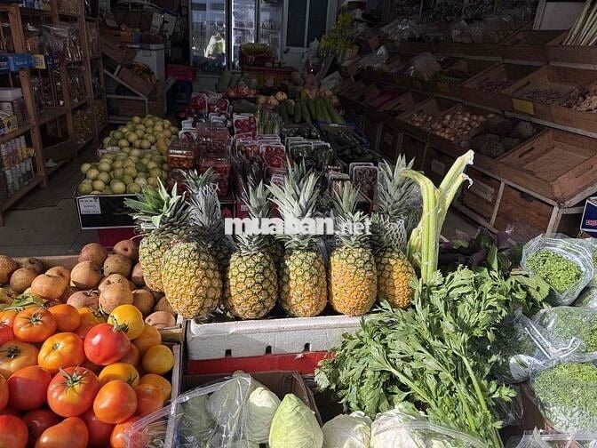 [LÀM NGAY] TUYỂN NỮ BÁN RAU ĐÀ LẠT TẠI PHÚ NHUẬN
