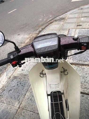 Honda Super Dream 1998 Nâu, Trắng