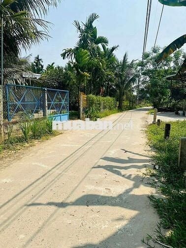 Lô 2 MT đẹp tại khương Mỹ Hoà Vang sát Nam kỳ khởi nghĩa