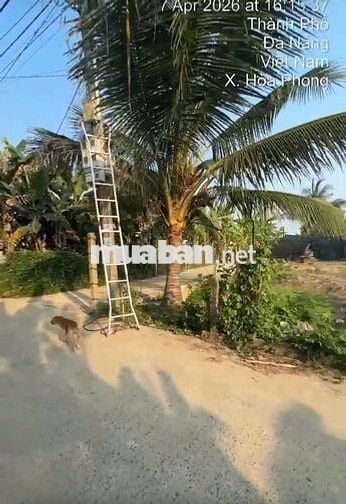 Lô 2 MT đẹp tại khương Mỹ Hoà Vang sát Nam kỳ khởi nghĩa
