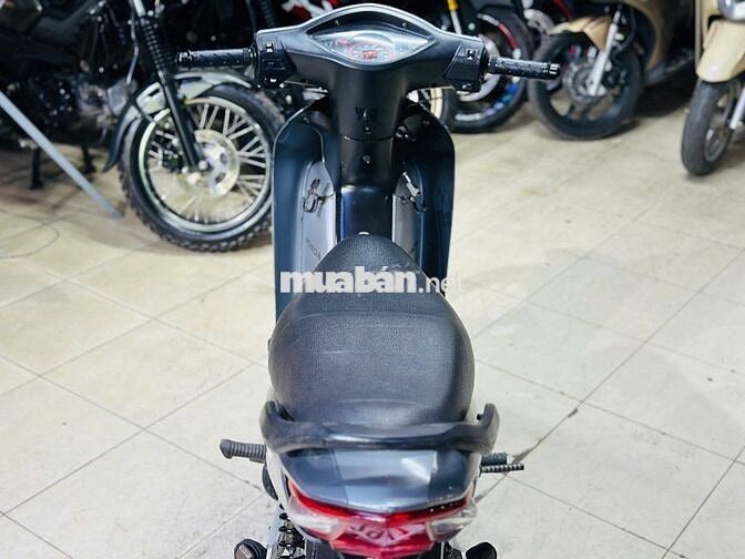 XE MÁY THỊNH PHÁT-WAVE A100 XÁM LÔNG CHUỘT BIỂN 29