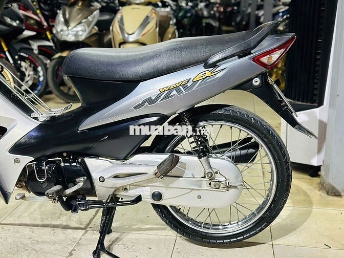 XE MÁY THỊNH PHÁT-WAVE A100 XÁM LÔNG CHUỘT BIỂN 29