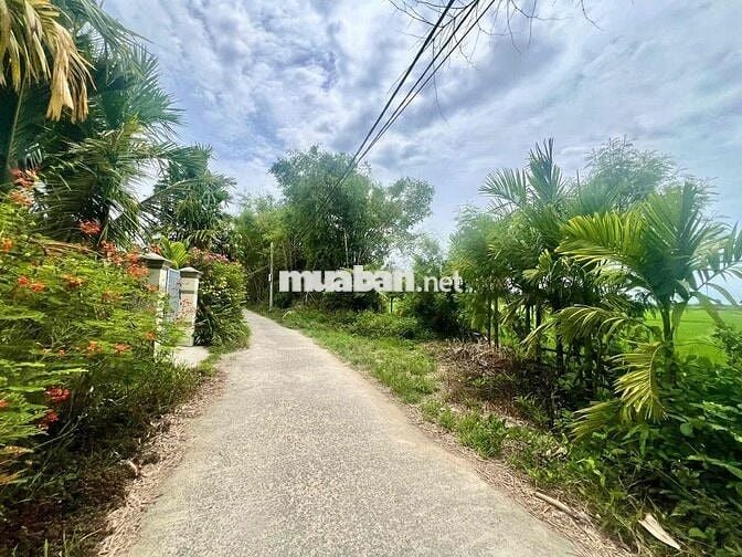 🧧 2 MẶT KIỆT LÀM NHÀ VƯỜN NGAY TẠI NAM KỲ KHỞI NGHĨA - HOÀ XUÂN MỚI