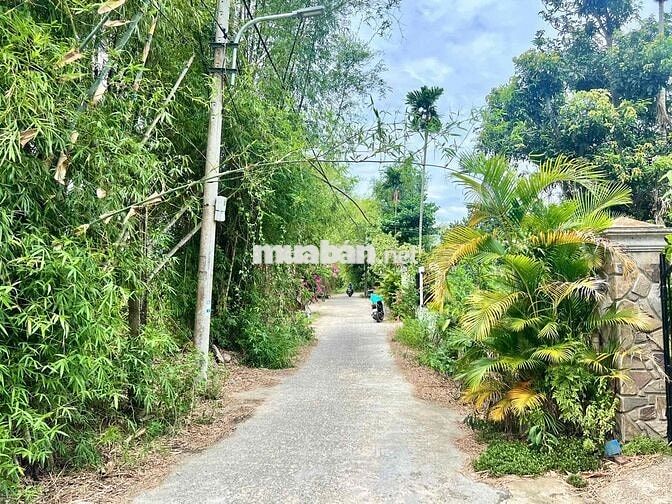 🧧 2 MẶT KIỆT LÀM NHÀ VƯỜN NGAY TẠI NAM KỲ KHỞI NGHĨA - HOÀ XUÂN MỚI