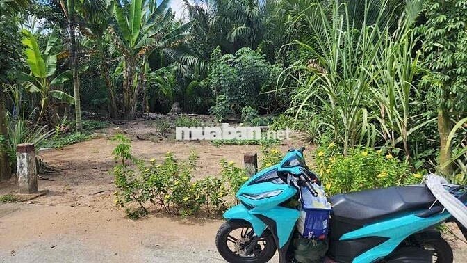 🏡 CHÍNH CHỦ CẦN NHƯỢNG LẠI LÔ ĐẤT ĐẸP – GIÁ TỐT