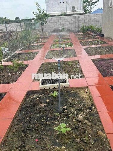 🌿 NHÀ VƯỜN LONG KHÁNH – SỐNG XANH, NGHỈ DƯỠNG MỖI NGÀY 🌿  🏡