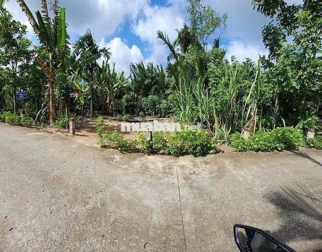 🏡 CHÍNH CHỦ CẦN NHƯỢNG LẠI LÔ ĐẤT ĐẸP – GIÁ TỐT