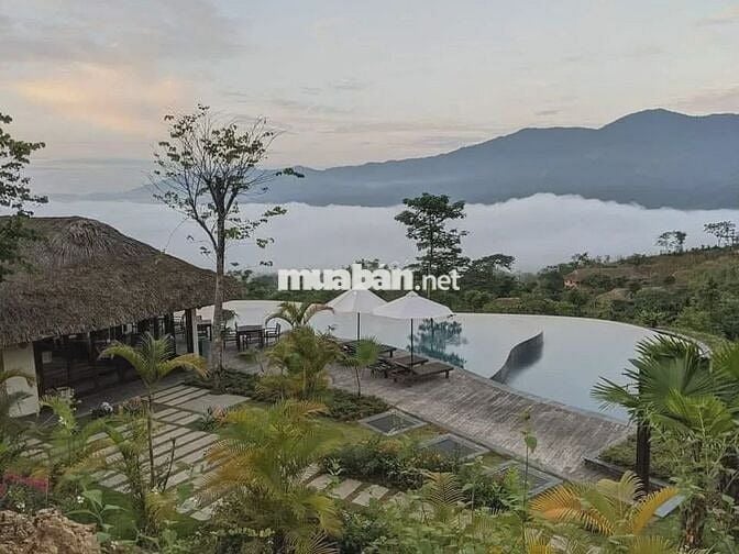 ĐẤT 1.123M² TÀ ĐÙNG - MẶT TIỀN 20M - XÂY CAO CÓ THỂ NHÌN HỒ