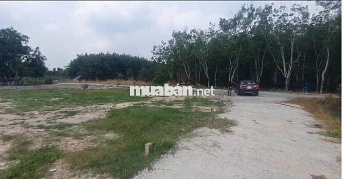 Gia đình tôi có miếng đất Lộc Ninh cần bán nhanh - Giá 339tr (có TL)