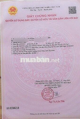 Gia đình tôi có miếng đất Lộc Ninh cần bán nhanh - Giá 339tr (có TL)