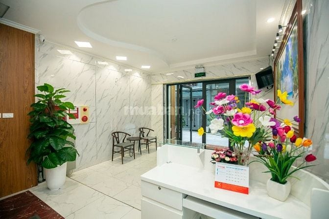 Căn hộ 1 ngủ nội thất mới cho thuê phố Linh Lang gần Lotte siêu đẹp
