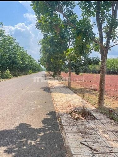 Chỉ 280 triệu, sở hữu ngay lô đất  250mv