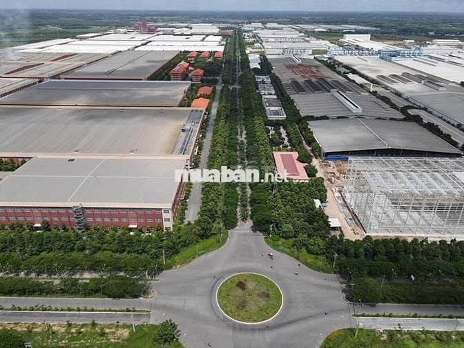 CHÚ 6 BÁN 155M2 MẶT TIỀN NHỰA Ở KCN PHƯỚC ĐÔNG, GIÁ 480TR SẦM UẤT SHR