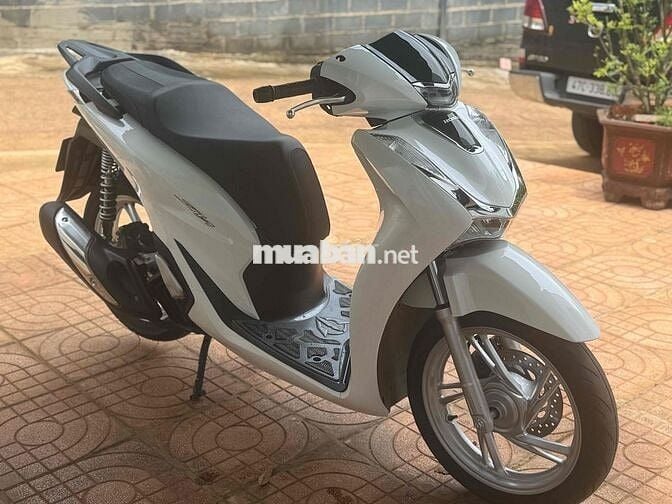 Honda SH 2025 Trắng