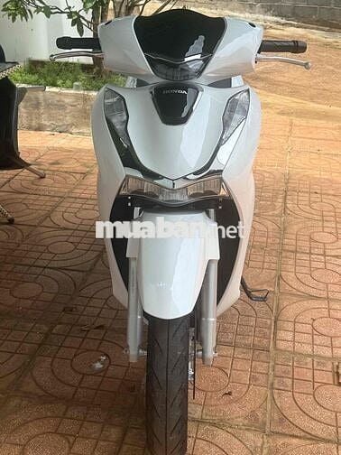 Honda SH 2025 Trắng