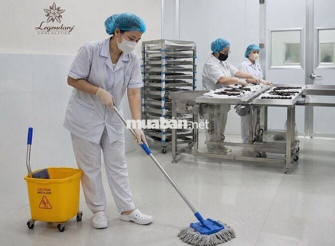 Nhân viên Tạp vụ Văn phòng & Xưởng sản xuất