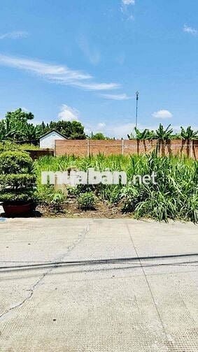 GIÁ 2 TỶ 75 BÁN ĐẤT NGUYỄN VĂN BỨA , 5m*30m. HXH , KHU XÂY CAO TẦNG ,