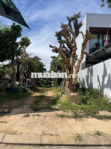 Chính chủ bán đất nền khu dân cư Bắc đường Lê Lợi - Đồng Hới, QBinh