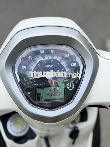 Yamaha Grande 2016 Trắng 20.000km