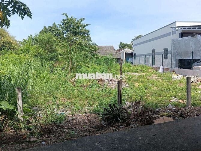 Phước Lợi xã Phước Hải (Phước Hội cũ)