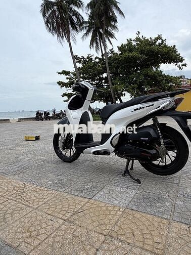 Honda SH Mode CBS 2025 Trắng đen