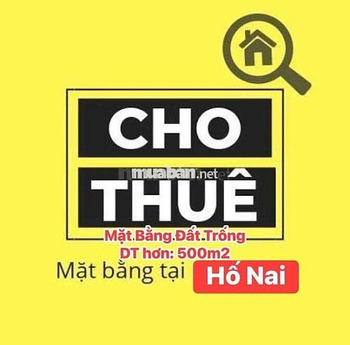 Cho Thuê MB (đất trống, thổ cư 100%) hơn 500m2 - P.Hố Nai - Giá: 10tr