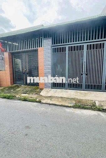 Cho thuê nhà phường Trảng dài giá 5 tr
