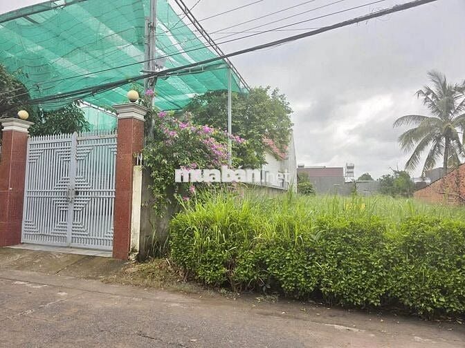 Bán nhanh 146,3m2(5x29)giá 1tỷ250 Nguyễn Thị Lắng cách VinHóc Môn 1km