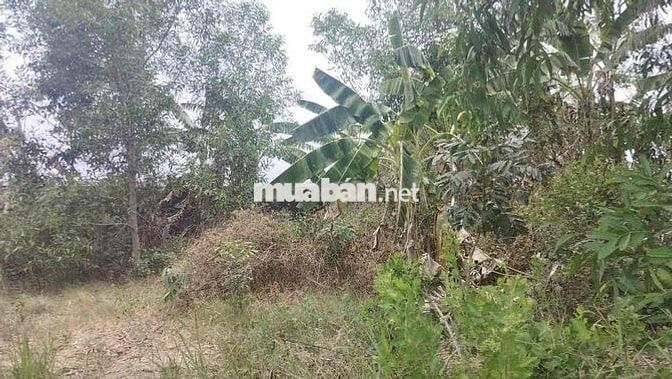 Ngân hàng phát mãi Lô đất mặt tiền Văn Ngọc Chính Sóc Trăng