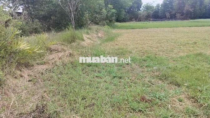 Ngân hàng phát mãi Lô đất mặt tiền Văn Ngọc Chính Sóc Trăng