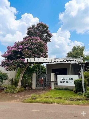 lô đất thổ cư, sổ sẵn, bán sỉ cho khách đầu tư, mặt tiền đường nhựa
