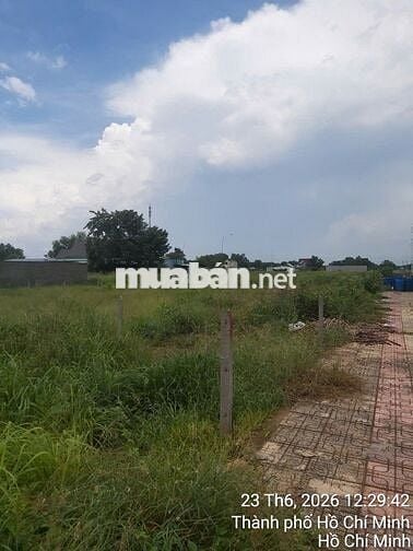 Bán gấp đất TPHCM giá rẻ 189m2, thổ cư, SHR