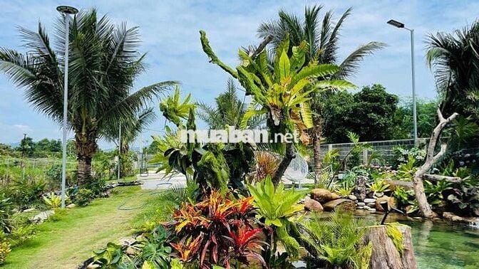 Nhà Vườn Sân Vườn Ngay Cạnh Biển Lộc An | Bà Rịa Vũng Tàu