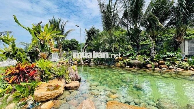 Nhà Vườn Sân Vườn Ngay Cạnh Biển Lộc An | Bà Rịa Vũng Tàu