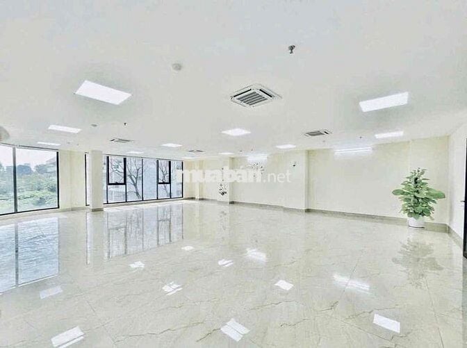 🏢 CHO THUÊ TÒA NHÀ VĂN PHÒNG MẶT TIỀN ĐƯỜNG ĐINH TIÊN HOÀNG – BÌNH THẠ