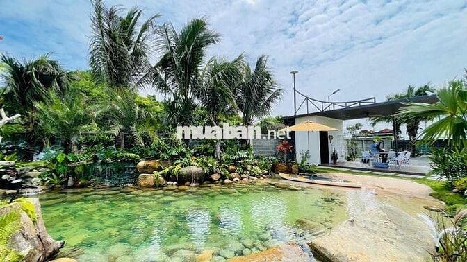 Nhà Vườn Sân Vườn Ngay Cạnh Biển Lộc An | Bà Rịa Vũng Tàu