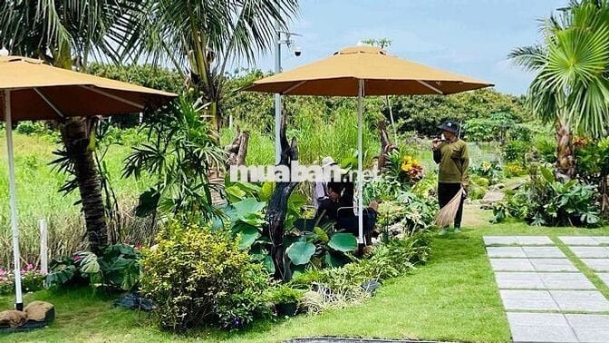 Nhà Vườn Sân Vườn Ngay Cạnh Biển Lộc An | Bà Rịa Vũng Tàu
