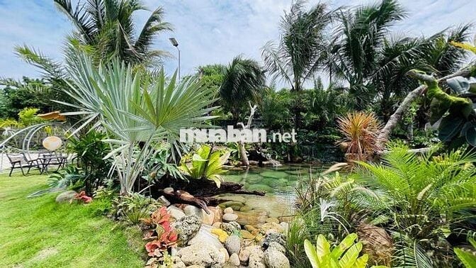 Nhà Vườn Sân Vườn Ngay Cạnh Biển Lộc An | Bà Rịa Vũng Tàu